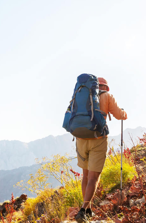 Mountain Hiking / Trekking